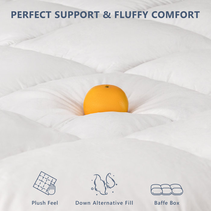 Alwyn Home Slaton 4'' Down Alternative & Reviews Wayfair